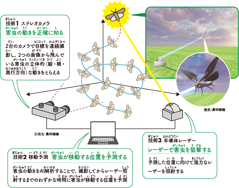 レーザー照射の技術の解説（引用元：農研機構）と照射時のCGイメージ（提供：農研機構）。技術1はステレオカメラ。害虫の動きを正確に知る。2台のカメラで目標を連続撮影し、2つの画像から飛んでいる害虫の立体的（縦・横・奥行き方向）な動きをとらえる。技術2は移動予測。害虫が移動する一を予測する。害虫の動きをAI解析することで、撮影してからレーザー照射するまでのわずかな時間に害虫が移動する位置を予測。技術3は半導体レーザー。レーザーで害虫を狙撃する。予測した位置に向けて協力なレーザーを照射する。