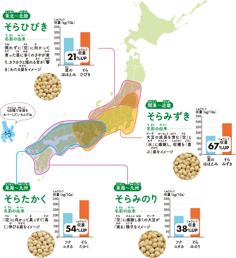 「そらシリーズ」の栽培適地を色別に示した図。4品種で東北から九州までをカバーしている。「そらひびき」は東北南部から北陸地域。名前の由来は、倒れずに「空」に向かって育った茎に多くのさやが実り、カラカラと揺れる音が「響き」わたる姿をイメージ。里のほほえみと比較して収量21%アップ。「そらみずき」は関東から近畿地域。名前の由来は、大豆の成長を育む「空」と「水」に感謝し、収穫を「喜ぶ」姿をイメージ。里のほほえみと比較して収量67%アップ。「そらたかく」は東海から九州北部地域。名前の由来は、「空」に向かって真っすぐ「高く」伸びる姿をイメージ。フクユタカと比較して収量54%アップ。「そらみのり」は東海から九州地域。名前の由来は、「空」に感謝し多くの大豆が「実る」様子をイメージ。フクユタカと比較して収量38%アップ。