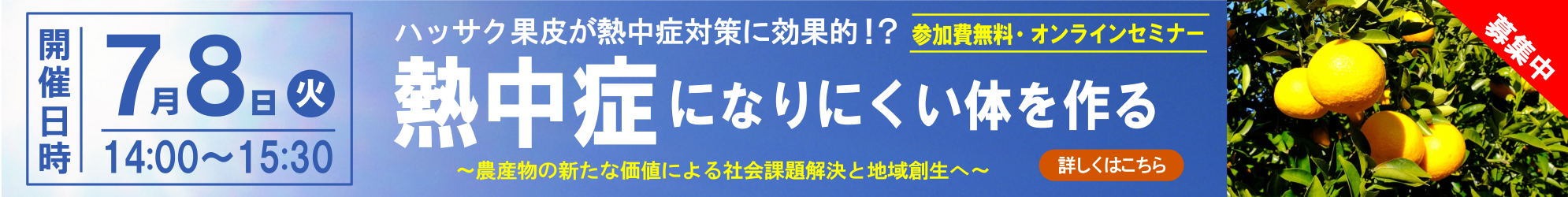 Hassaku_b
